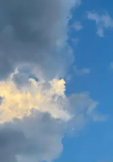 一年後會再見面嗎？ 封面