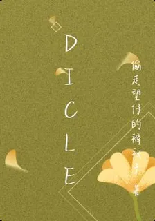 Dicle 封面
