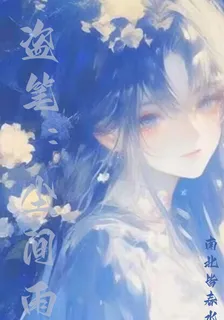 盜筆：塵間雨 封面