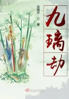 九璃劫 封面