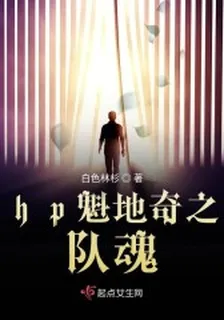 hp魁地奇之隊魂 封面