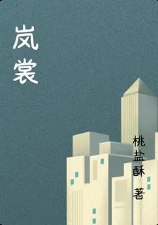 嵐裳 封面