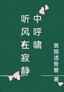 聽風在寂靜中呼嘯 封面