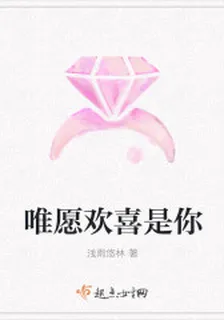 唯願歡喜是你 封面