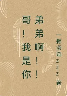 哥！我是你弟弟啊！！ 封面