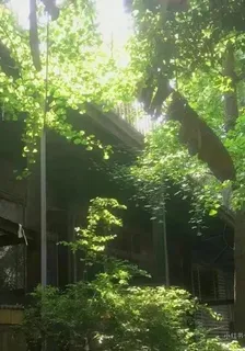 翻譯來信 封面