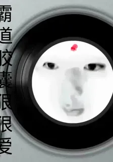 霸道膠囊狠狠愛 封面