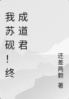 我蘇硯！終成道君 封面