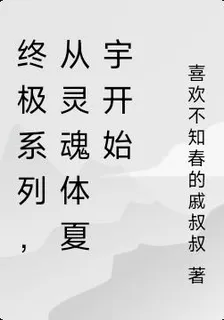終極系列，從靈魂體夏宇開始 封面