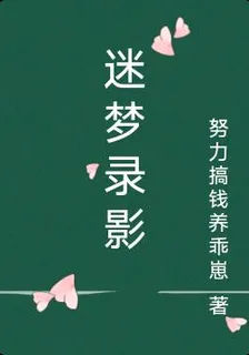 迷夢錄影 封面