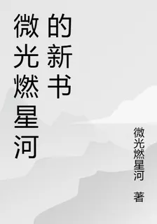 微光燃星河的新書 封面