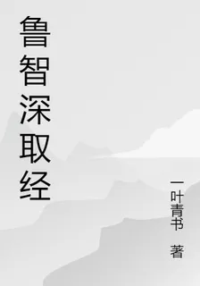 魯智深取經 封面