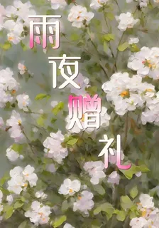 雨夜贈禮 封面
