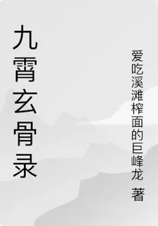 九霄玄骨錄 封面