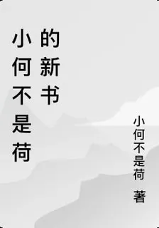 小何不是荷的新書 封面