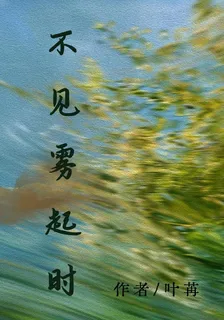 不見霧起時 封面