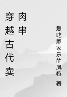 穿越古代賣肉串 封面