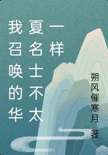 我召喚的華夏名士不太一樣 封面