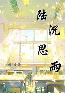 陸沉思雨 封面
