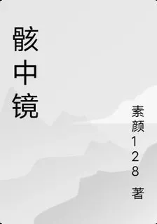 骸中鏡 封面