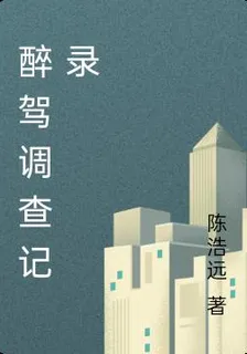 醉駕調查記錄 封面