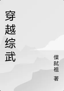穿越綜武 封面