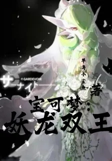 寶可夢：妖龍雙王 封面