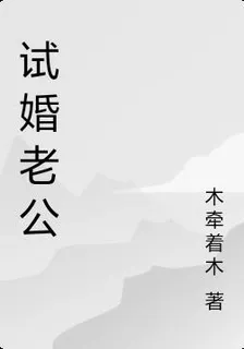 試婚老公 封面