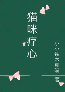 貓咪療心 封面