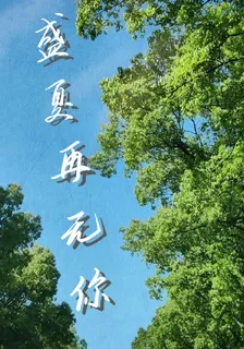 盛夏再無你 封面