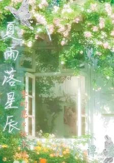 夏雨落星辰 封面