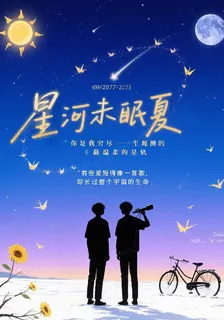 星河未眠夏 封面