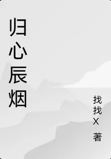 歸心辰煙 封面