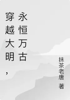開局大明：陛下有大亂 封面