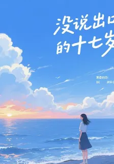 沒說出口的十七歲 封面