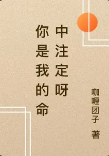 你是我的命中註定呀 封面