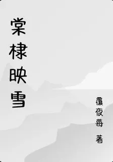 棠棣映雪 封面