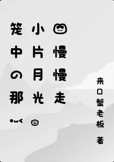 籠中的那一小片月光，你慢慢走 封面