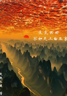 生生世世不如天上白玉京 封面