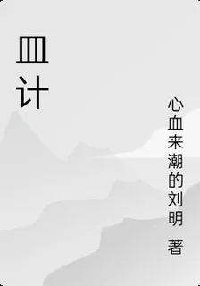 皿計 封面