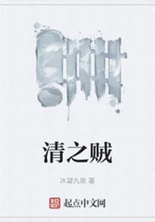清之賊 封面