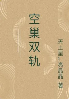 空巢雙軌 封面