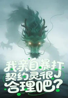 我親自動手暴打契約靈這很合理吧 封面