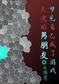 夢見自己成了遊戲大佬的男朋友 封面