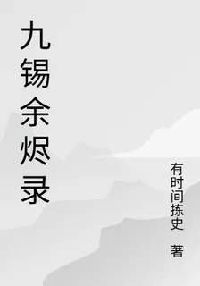 九錫餘燼錄 封面