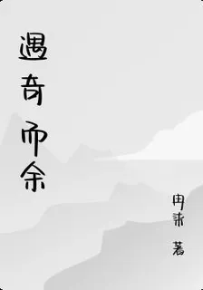 遇奇而餘 封面