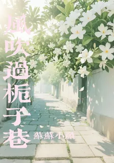 風吹過梔子巷 封面