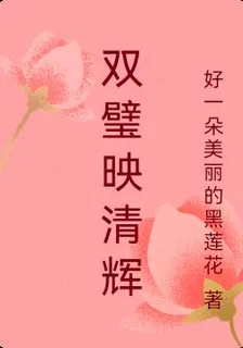 雙璧映清輝 封面