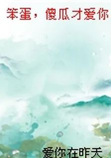 笨蛋，傻瓜才愛你 封面