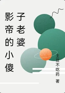 影帝的小傻子老婆 封面
